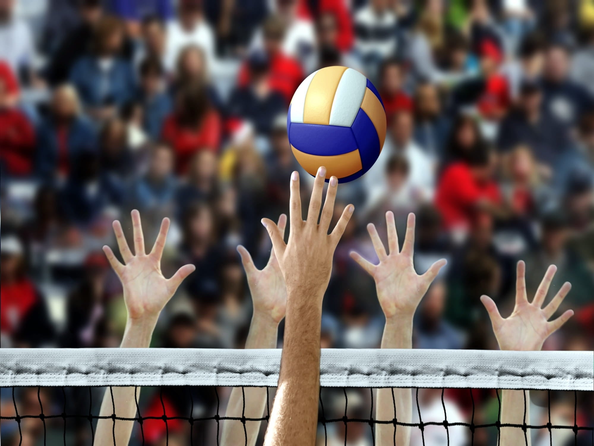 Volleyball being played with hands reaching up towards a blurred crowd in the background